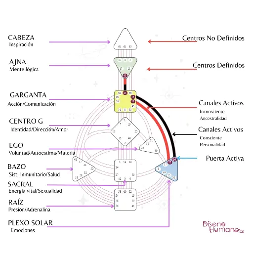 Mentoria Diseño Humano